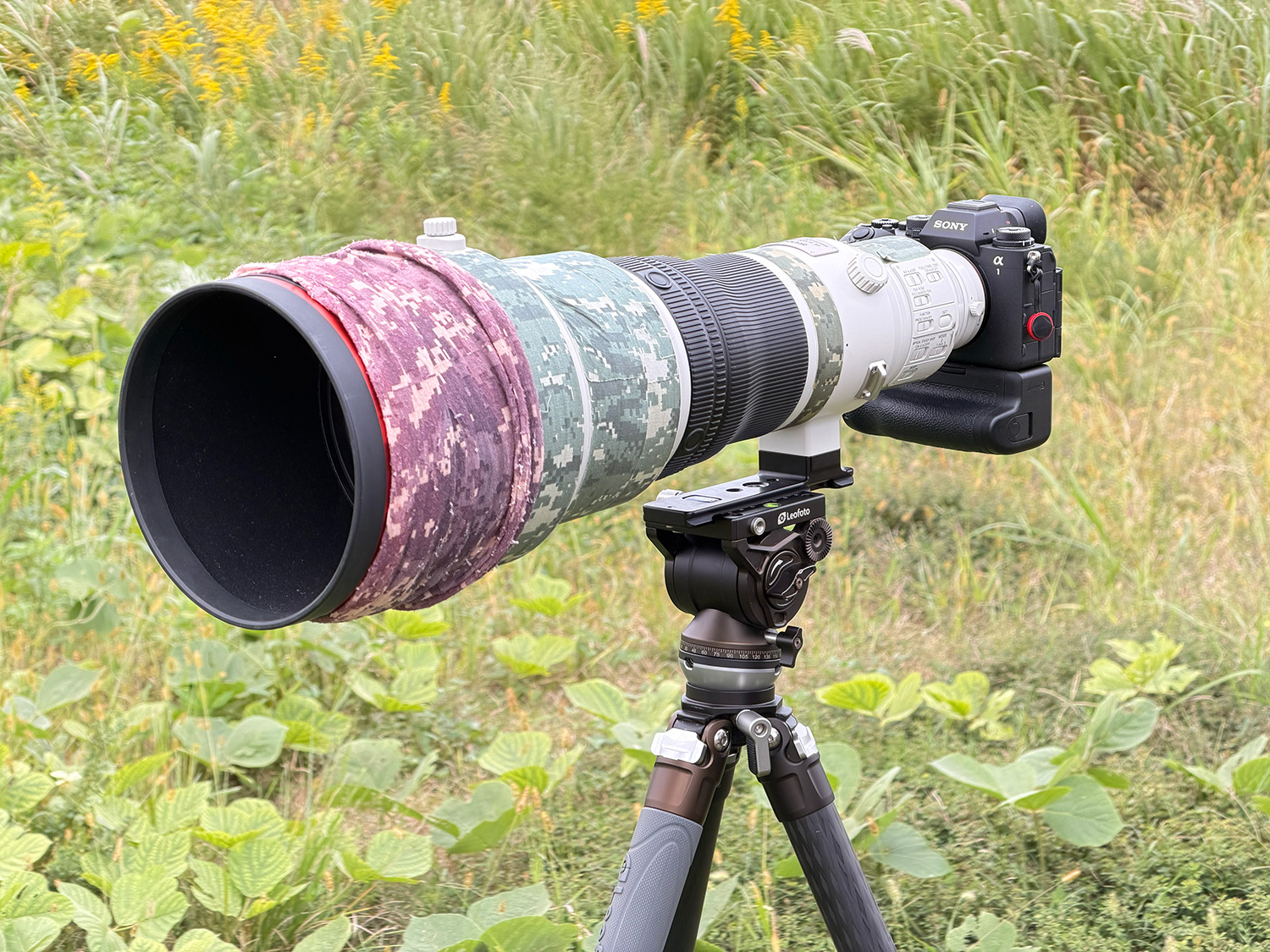 写真家 中村利和　×　超望遠で撮る野鳥撮影テクニック