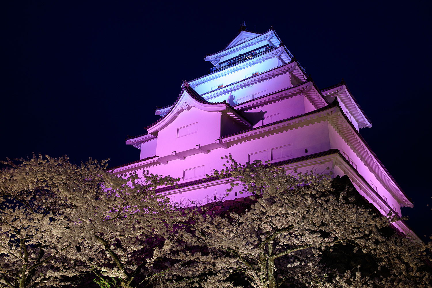 写真家 伊藤亮介×桜撮影テクニック＆スポット紹介 東北・関東編